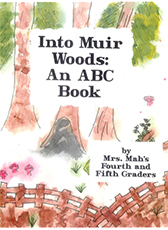Into Muir Woods